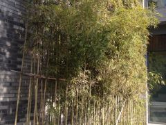店内小景-扬州东关街文昌阁桔子水晶酒店