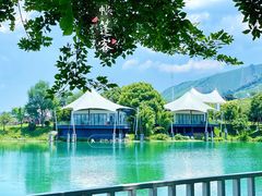 -帐篷客·溪龙茶谷度假酒店