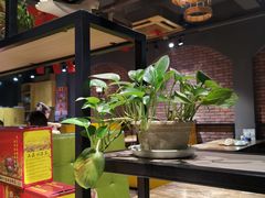 大堂-鸽子窝专业烧烤店(长白店)