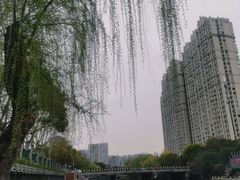 -红梅公园