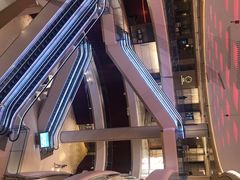 -蝶园·装修中(BFC外滩金融中心店)