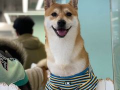 -怪兽屋·羊驼·猫咖·狗咖(俊华广场店)