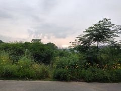 -青龙山国家森林公园