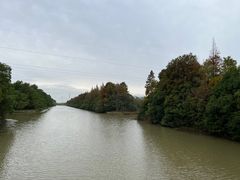 -上海海湾国家森林公园