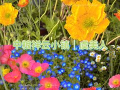 -中粮·祥云小镇