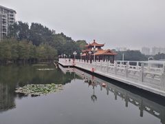 -荔枝公园(福田区)