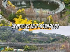 -福道