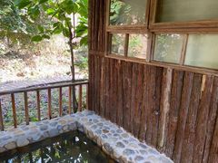 -天门沟九州驿站树上汤泉