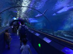 -厦门海底世界