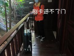 -三亚亚龙湾人间天堂鸟巢度假村
