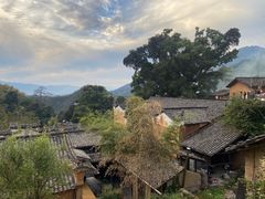 -杨家堂村