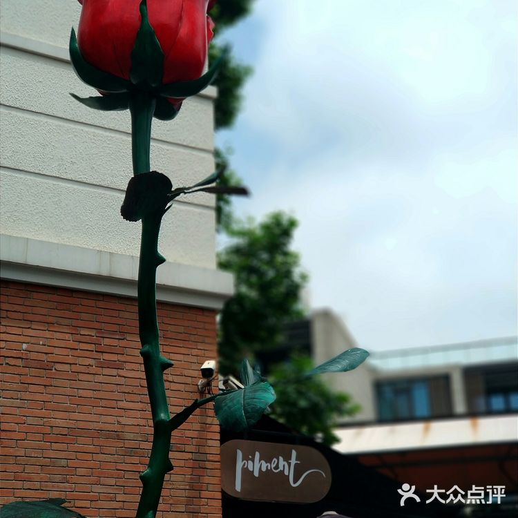 美好一天从一顿精美brunch开始