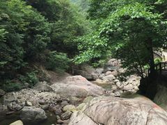 森林-湖州龙王山景区