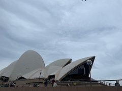 -悉尼歌剧院