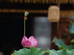 -钱王祠