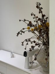 -安那般那皮肤年轻化ANAPANA