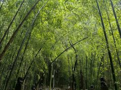 -敬亭山风景名胜区