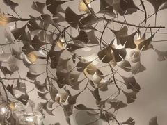 -浅森·龙凤筋SPA·私域调理