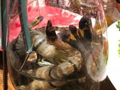 -珍宝轩海鲜火锅(碧湖大厦店)