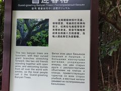-亚龙湾热带天堂森林公园