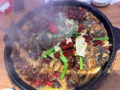 -老板恋上鱼(恒隆广场店)