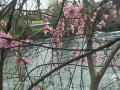 -贵阳市花溪国家城市湿地公园