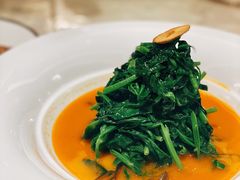 -人间采蜜(海信广场店)