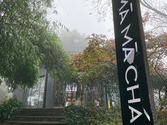 -MAMACHA妈妈茶(岳麓山店)
