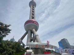 -上海大自然野生昆虫馆(东方明珠·爬宠昆虫探索中心)