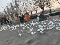 -天津妈祖文化园