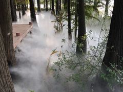 -东湖落雁景区