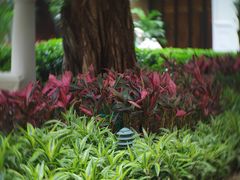-咖啡苑(永利澳门店)