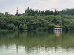 -深圳仙湖植物园