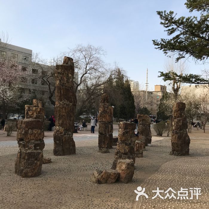 兴华公园图片-北京公园-大众点评网