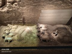 -秦始皇帝陵博物院-丽山园