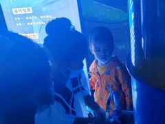 -烟台海昌鲸鲨海洋公园