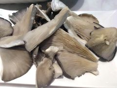 -食潮汕头鲜牛馆(望京保利店)