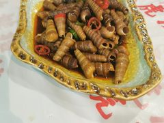 -虎虎龙虾大排档(双井店)