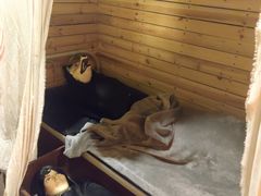 -明日世界密室轰趴·剧本桌游·箭馆团建(国贸店)
