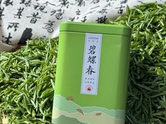 -东山雕花楼