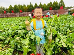 -洪恩幼儿园