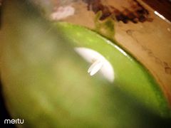 -柴务处·柴犬主题狗咖