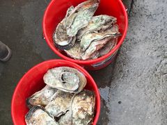 -蚝专家(北滘店)