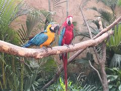 -杭州开元森泊度假乐园