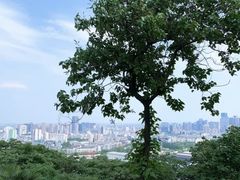 -临平公园(临平街道)