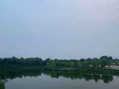 -东郊湿地公园