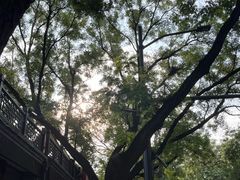 -恭王府博物馆
