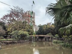 -晓港公园