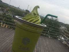 -雪绿茶博物馆