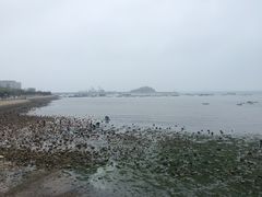 -青岛市江苏路基督教堂